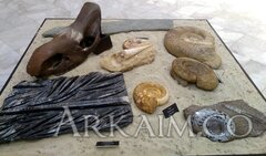 IMG_20190908_141615.jpg