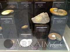 IMG_20190908_142525.jpg