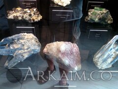 IMG_20190908_143756.jpg