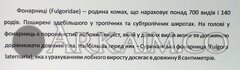 IMG 20190908 144425
