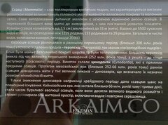 IMG 20190908 141319