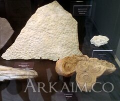 IMG_20190908_142039.jpg