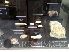 IMG 20190908 142726