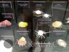IMG_20190908_143326.jpg