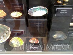 IMG 20190908 142731