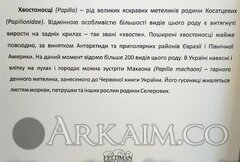 IMG_20190908_144958.jpg