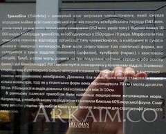IMG_20190908_142147.jpg