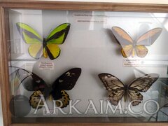 IMG_20190908_145336.jpg