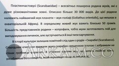 IMG 20190908 144652