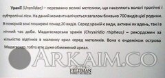 IMG_20190908_145416.jpg