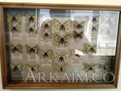 IMG_20190908_144938.jpg