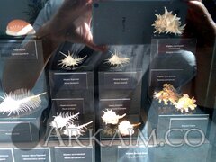 IMG 20190908 143055