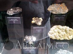 IMG_20190908_143638.jpg