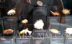 IMG_20190908_143329.jpg