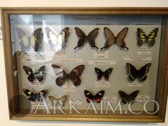 IMG 20190908 145018