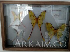IMG_20190908_145422.jpg