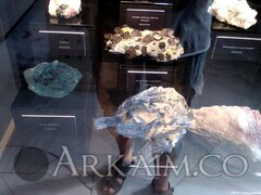 IMG_20190908_143803.jpg