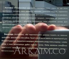IMG 20190908 142942