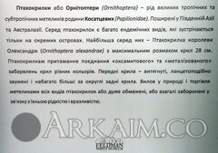 IMG 20190908 145313