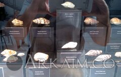 IMG_20190908_143156.jpg