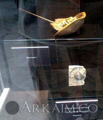 IMG_20190908_141844.jpg
