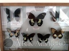 IMG 20190908 145308