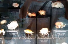IMG_20190908_143317.jpg