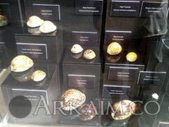 IMG_20190908_143121.jpg