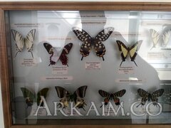 IMG 20190908 145241