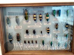 IMG 20190908 144714