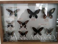 IMG 20190908 145259