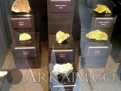 IMG_20190908_144015.jpg