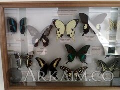 IMG 20190908 145254