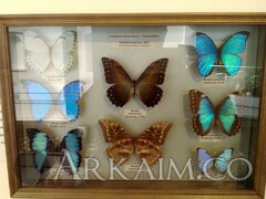 IMG 20190908 144850