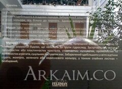 IMG_20190908_143822.jpg