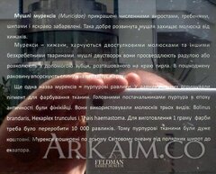 IMG 20190908 143045
