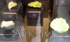 IMG_20190908_144011.jpg