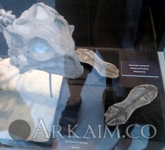 IMG_20190908_141454.jpg