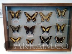 IMG_20190908_145013.jpg