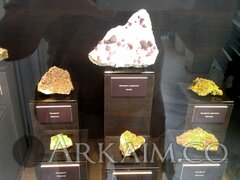 IMG_20190908_144018.jpg