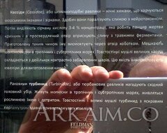 IMG 20190908 142951