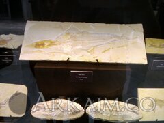 IMG 20190908 140917