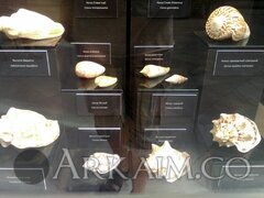IMG_20190908_143148.jpg