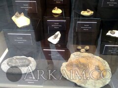 IMG_20190908_142211.jpg