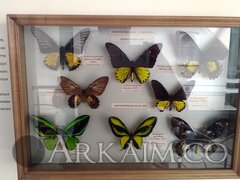 IMG_20190908_145328.jpg