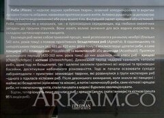 IMG 20190908 141313