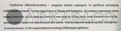 IMG 20190908 144537