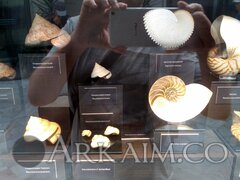 IMG 20190908 142739