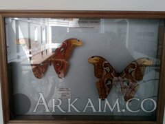 IMG_20190908_145407.jpg