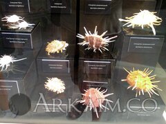 IMG_20190908_143321.jpg